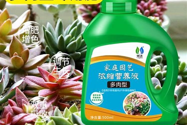 我在多肉表面撒了些复合肥会不会烧死