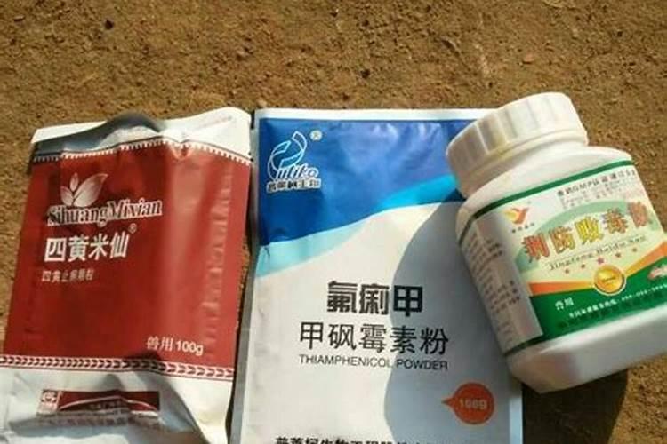 玉米苗期的主要病害有哪些？如何防治？