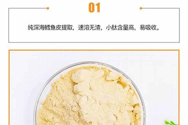 鱼蛋白的作用和功效是什么？