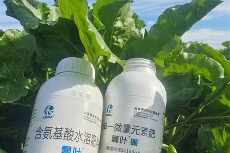 聚谷氨基酸和氨基酸叶面肥哪个好