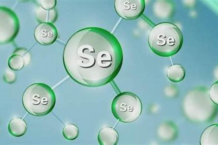 东北油豆角在河北昌黎县种植能长豆角吗