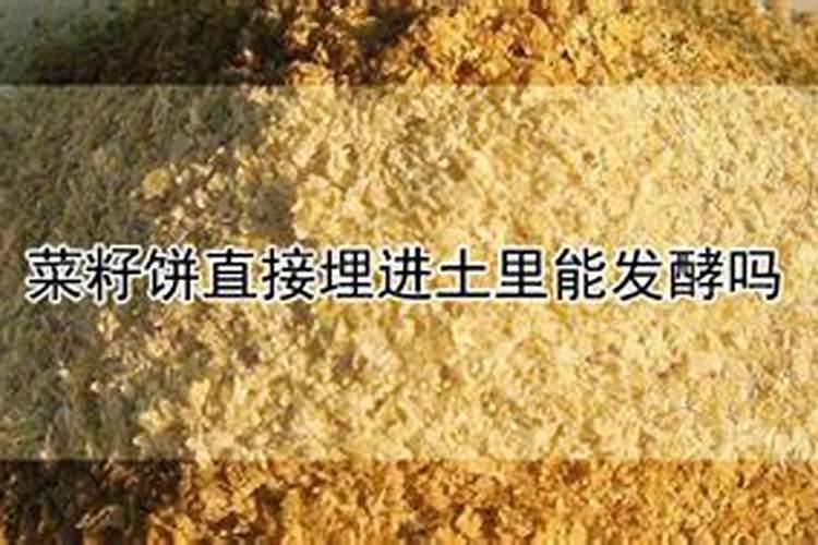 油菜饼肥养花的使用方法