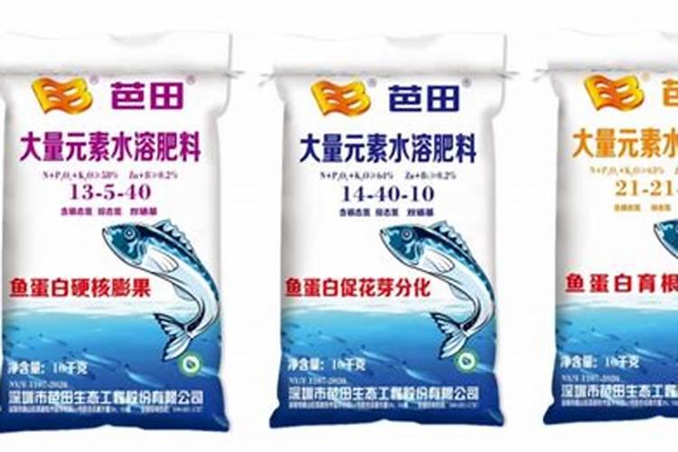 夏季香菜怎样防止抽苔