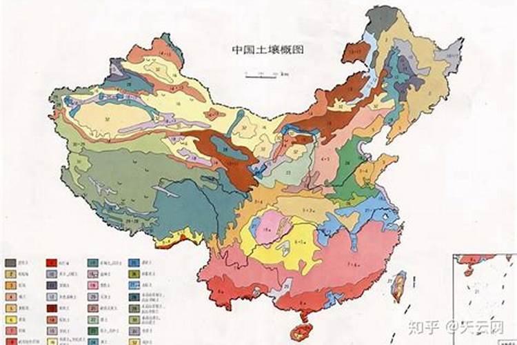 麦苗发黄原因及防治