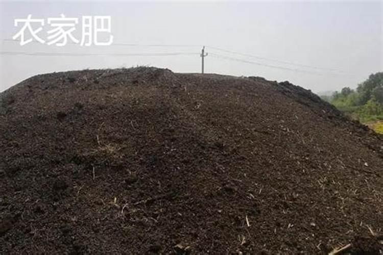 氮肥磷肥钾肥可以同时兑水浇花吗