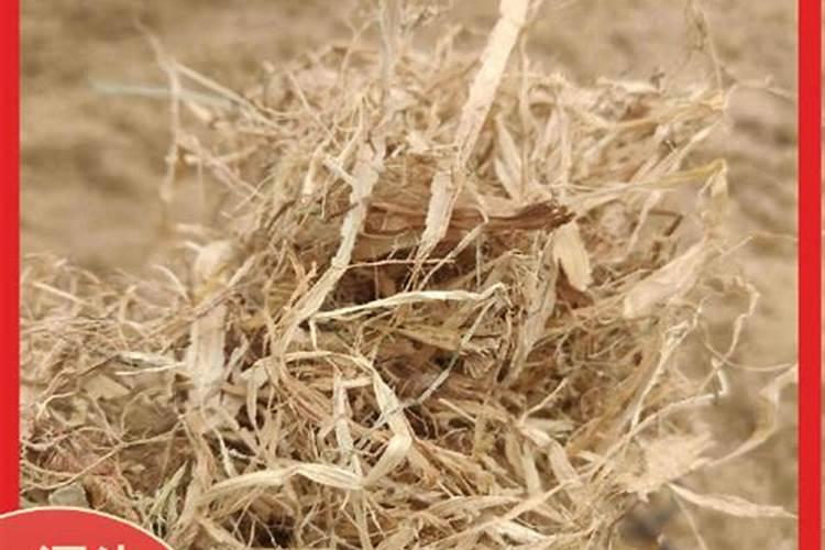 玉米秸秆灰主要成分