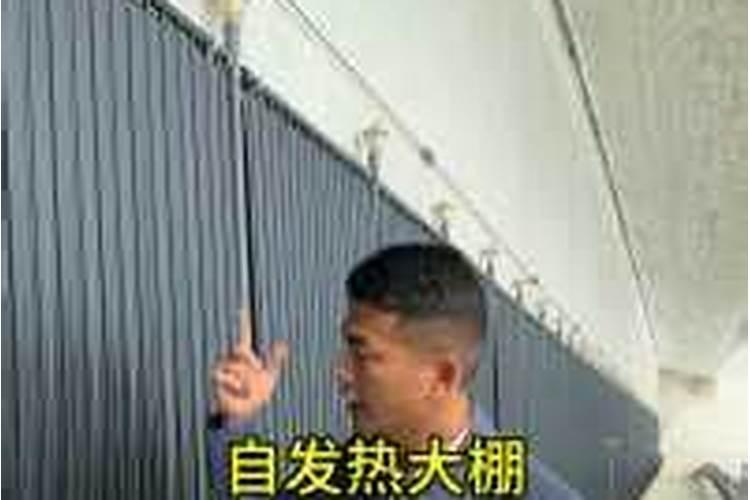 打农药温度32度能打吗