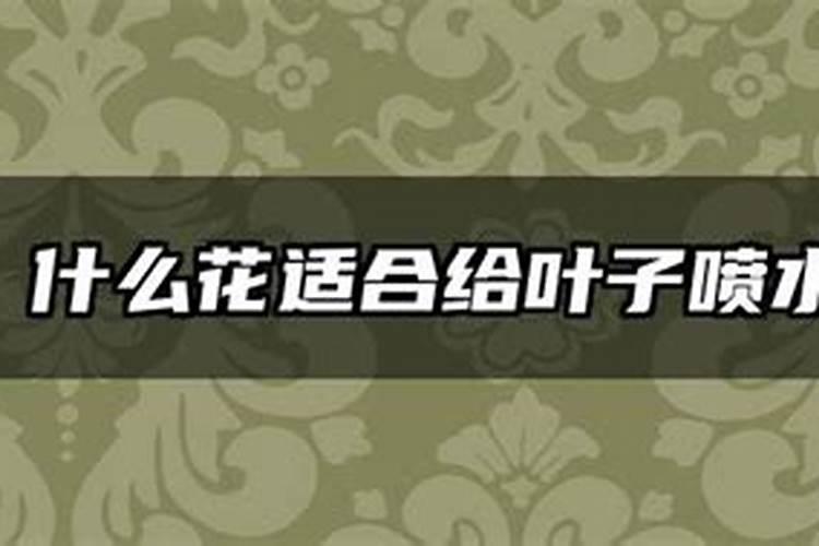 美丽又健康居室保湿10大水养植物