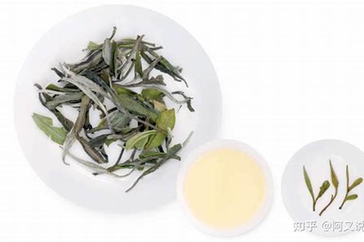 白茶施什么肥最好？