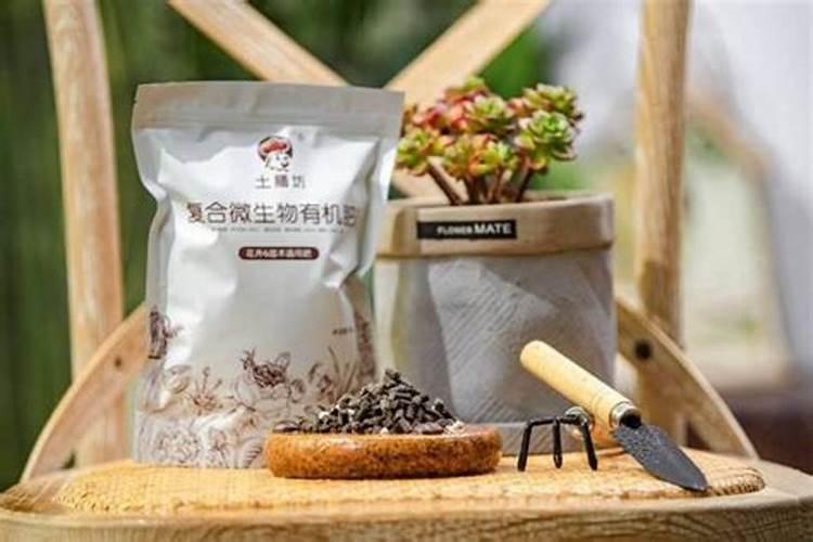 如何自制家用有机肥水