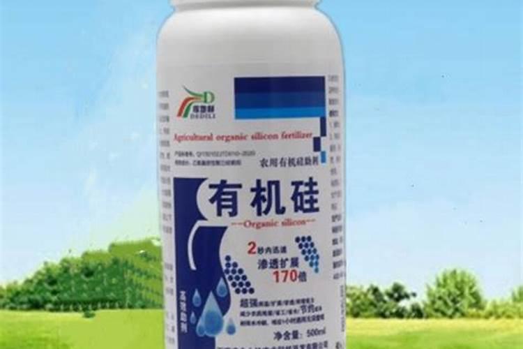 有机硅对蔬菜起什么作用？