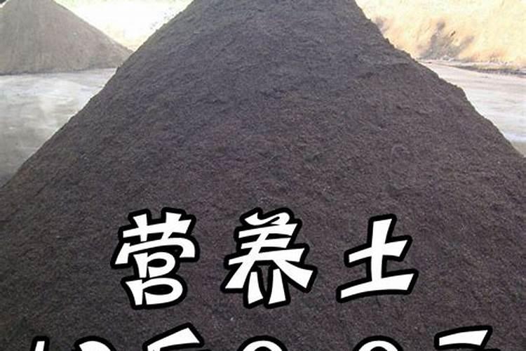 营养土怎样制作成肥料