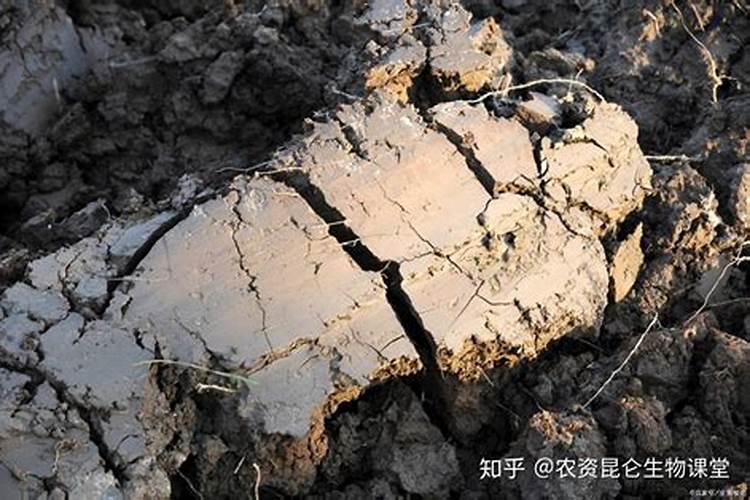 如何划分“大量元素”和“微量元素”？
