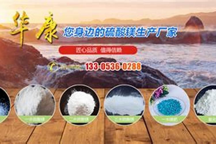 山东新永辉化工有限公司怎么样？