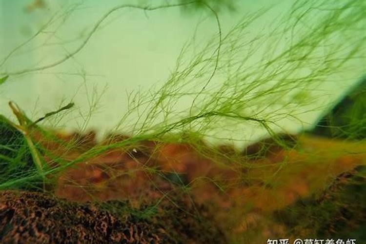 多乐升级如何添加游戏好友多乐升级增加游戏好友的方法