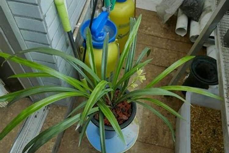 iga肾病饮食禁忌？