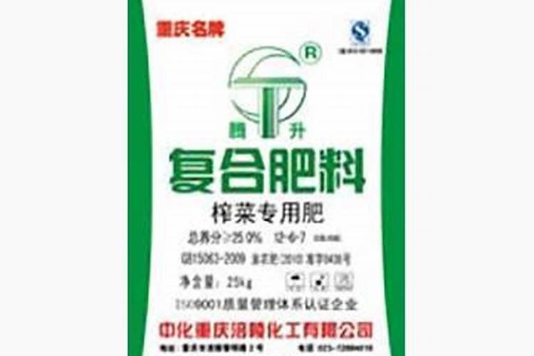 榨菜怎么种植 榨菜的种植方法