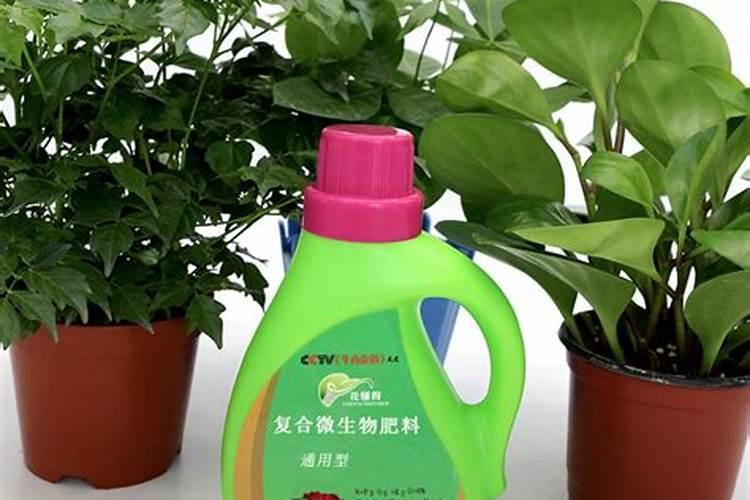 钾肥怎么施效果好