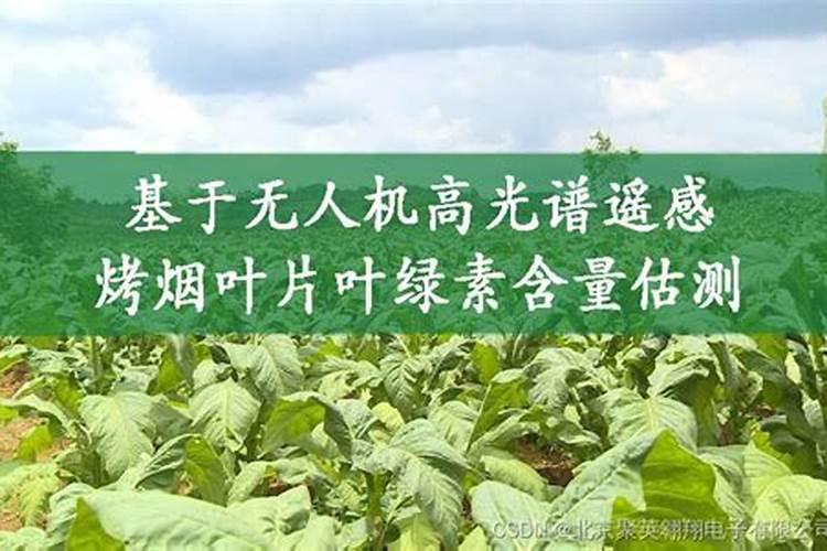 黄豆不煮熟能做肥料吗