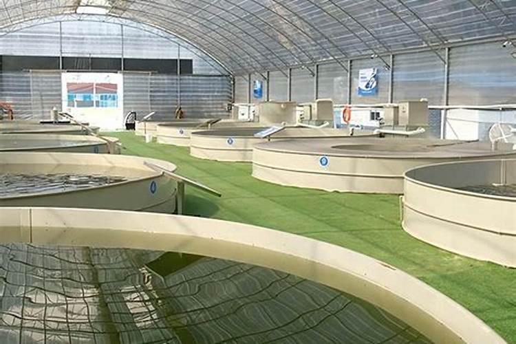 在校大学生应如何减肥