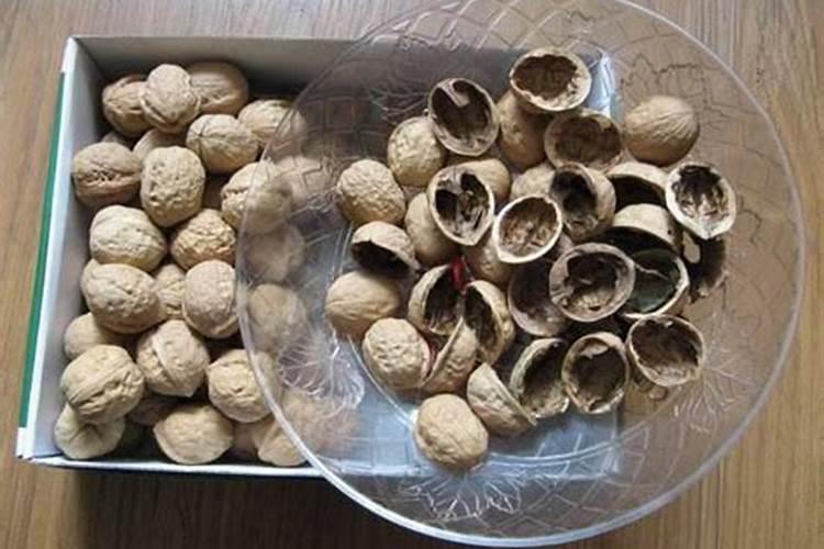 芒果树用什么肥料最好