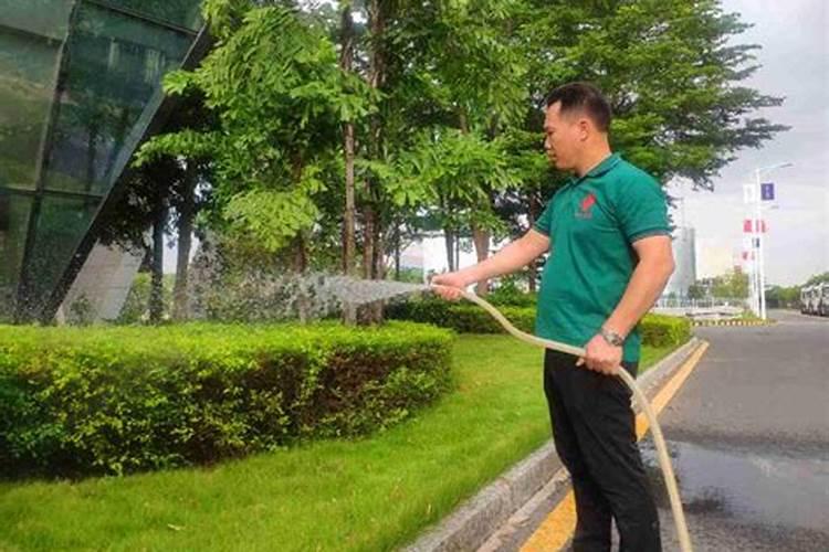 水培植物怎么去施肥和选择肥料