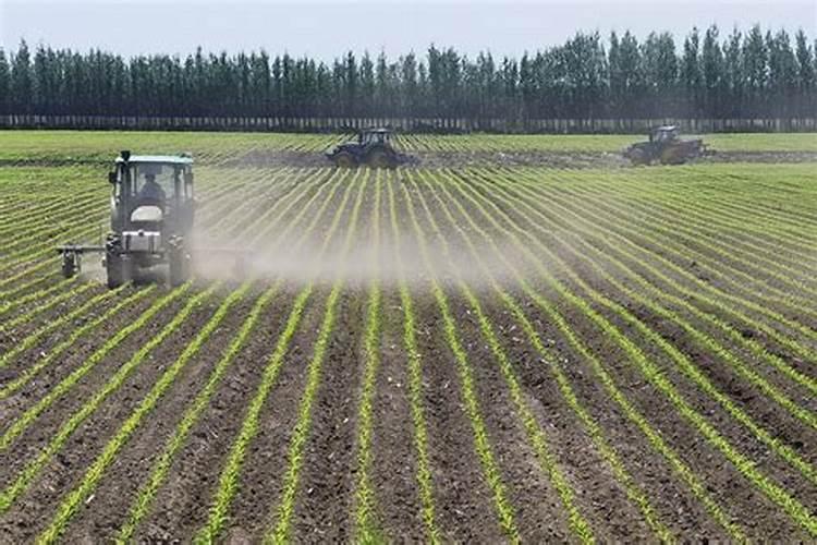 硝酸钾是什么肥料