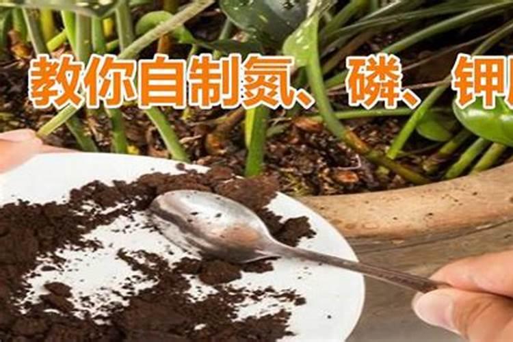 氨基酸水溶肥价格表2025