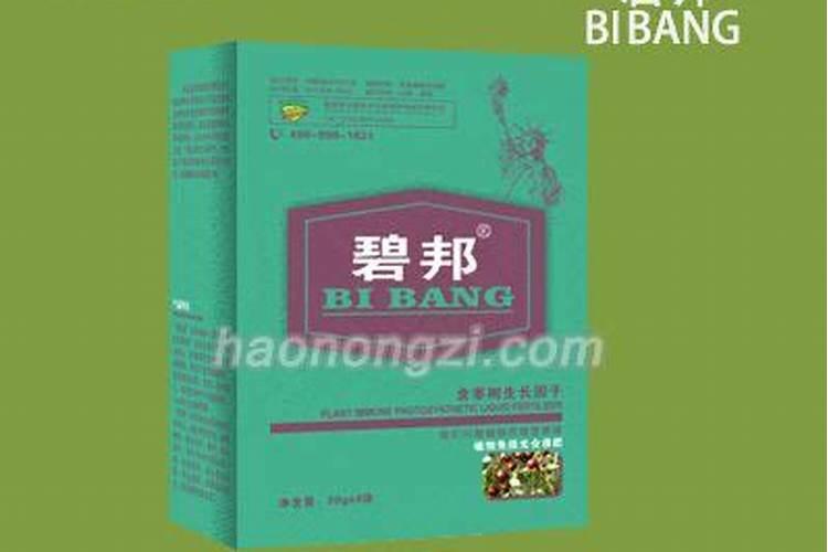 生菜叶片发黄可以喷施蔬菜叶面肥吗