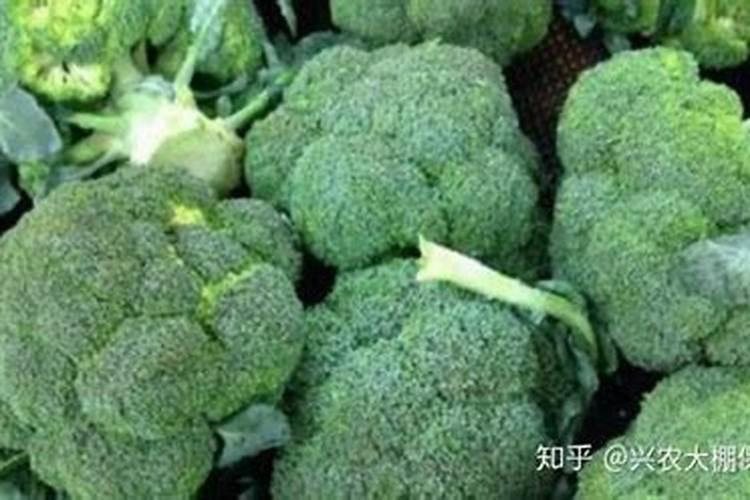 三篇套餐打过几小时见效