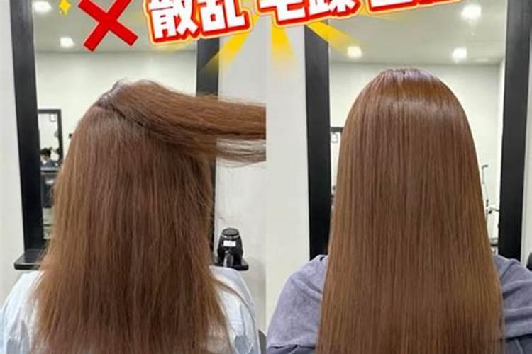 三角梅施什么肥花开满树