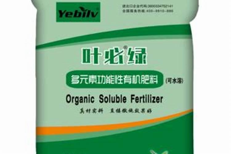 脐橙专用肥选什么肥料好？叶必绿肥料怎么样？