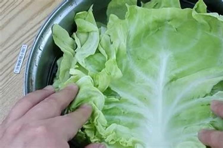 包菜用不用洗一片片洗？