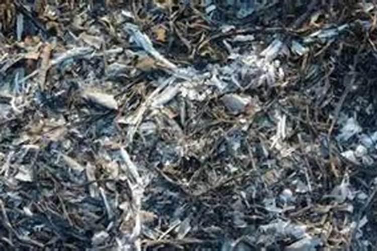 兰花上盆后多久浇水