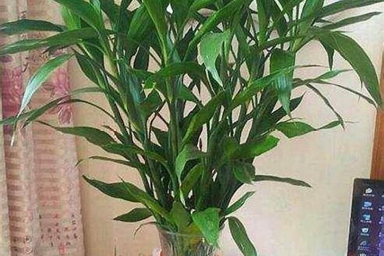 临沂的上市公司有哪些？