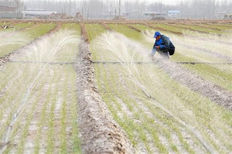 造假化肥怎样处罚