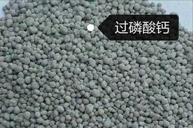 菜子油枯可以浇菜吗？