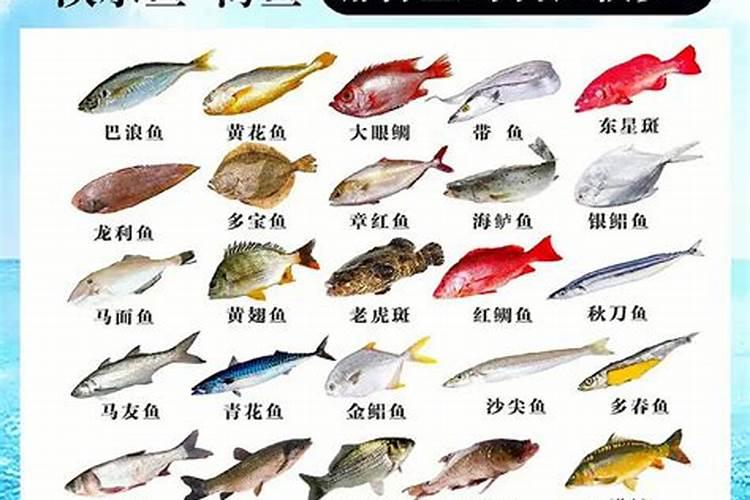 [海洋生物的药用价值]海洋生物药用的意义