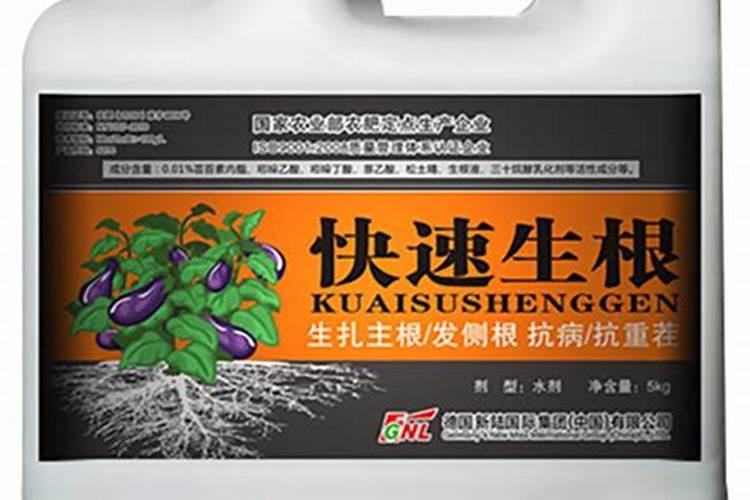 柑橘9月施肥要点