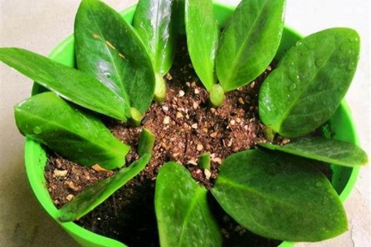 农户种植西瓜,一般多久追一次肥呢？追肥时需要注意些什么？