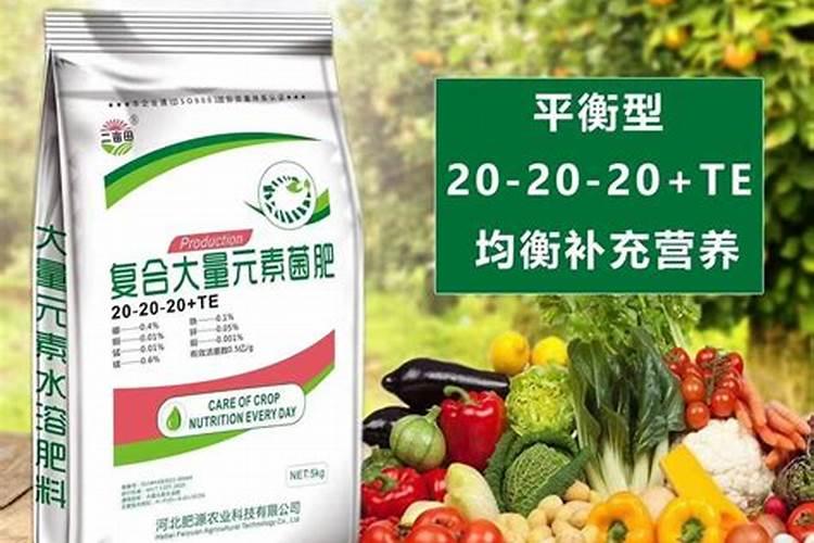 水养植物怎么让它长得枝繁叶茂？