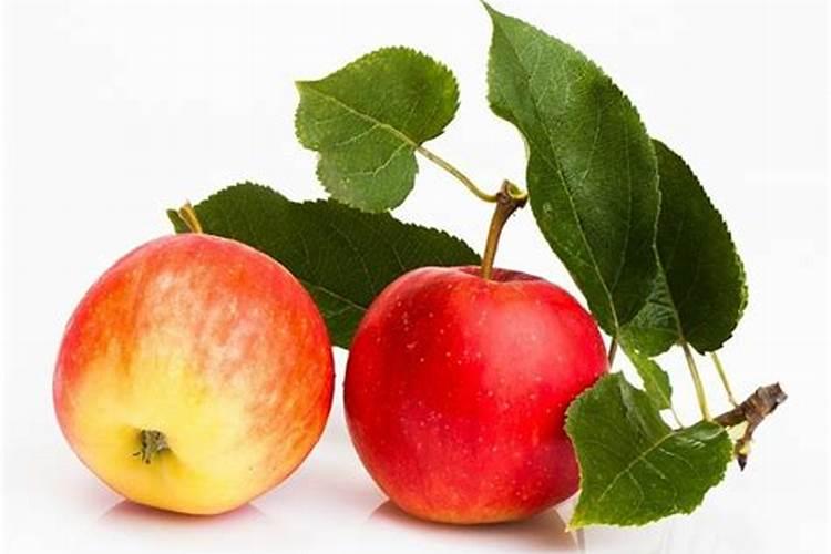 土地乐菌肥怎么样