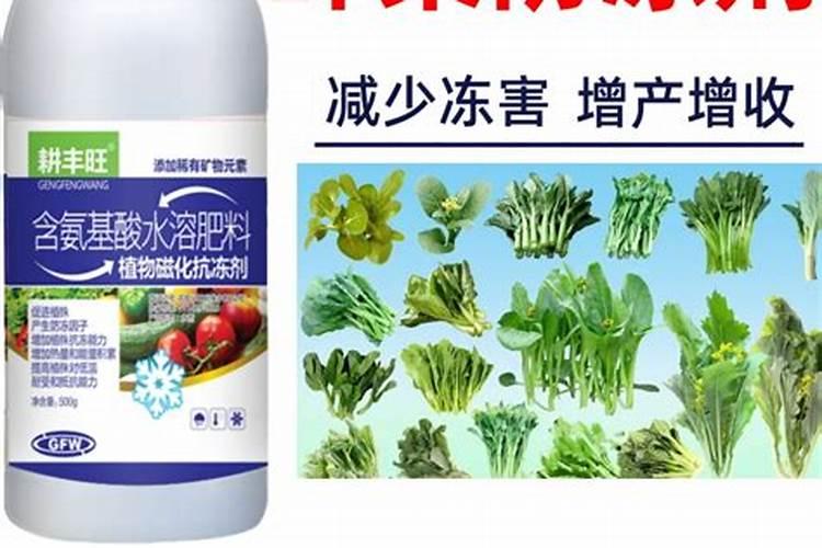 鹰潭市是哪个省的城市