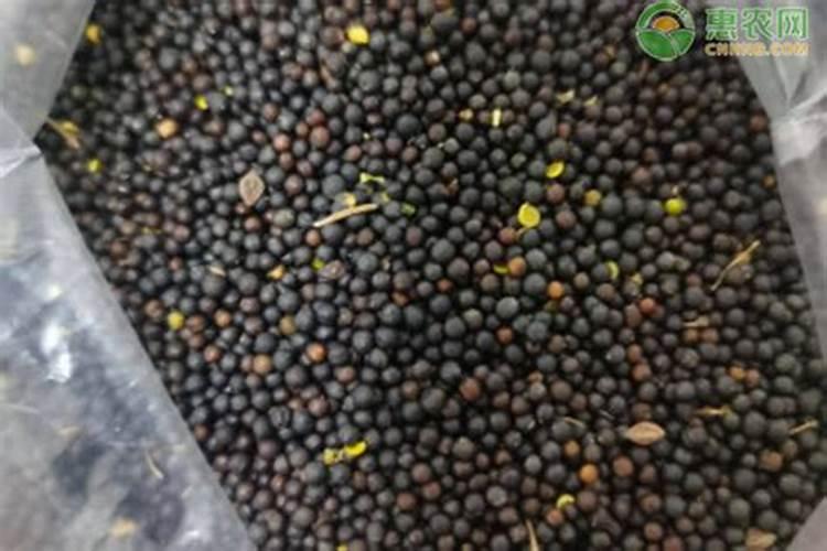 种豆角用什么肥料