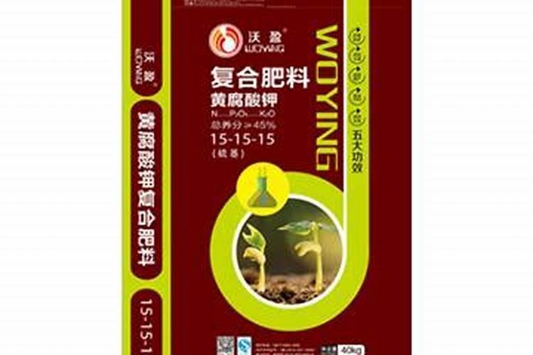 雀舌黄杨盆景养殖方法用肥