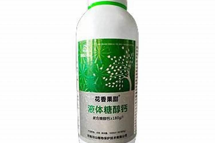 新鲜茶叶采摘后怎么处理 新鲜茶叶采摘后怎么处理