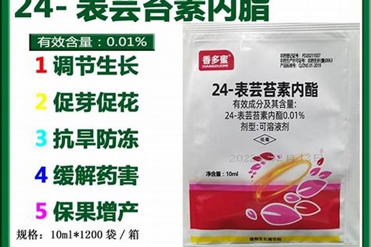 植物的开花时间与什么有关,仿句