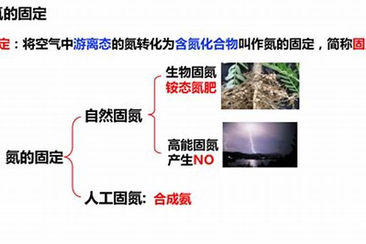 雷电会使雨水产生氮肥吗