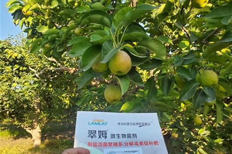 春耕化肥、农药,该如何选购？