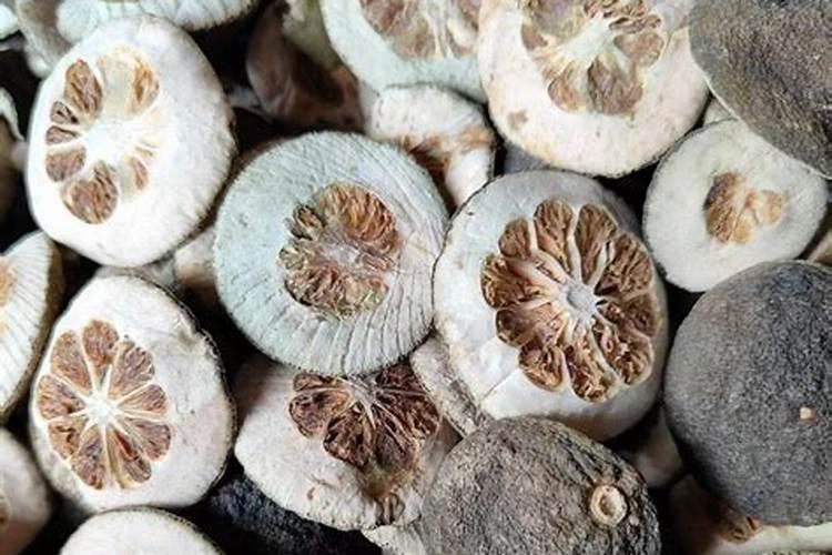 绵阳三台枳壳怎么种植？种植前景怎么样？